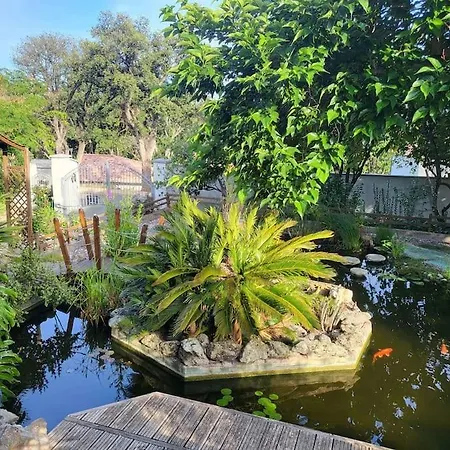Rez De Tout Confort Villa